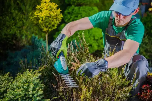 landscaping services Granville South